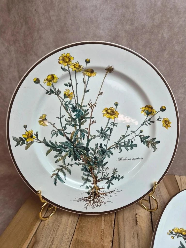 Lot of 2 plates Villeroy & Boch Botanica – glass-porcelain – Luxembourg – photo 2